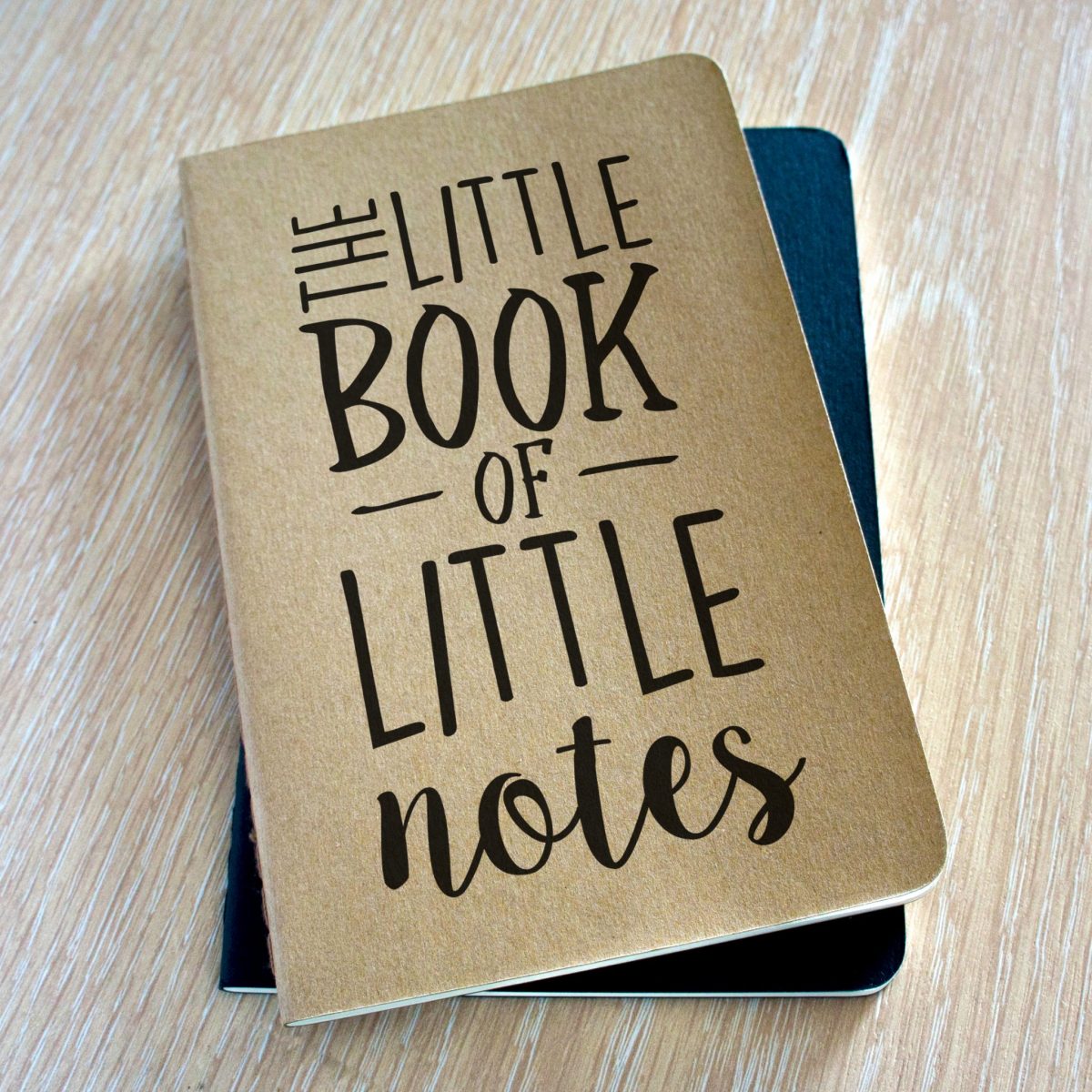 The Little Book of Little Notes Notebook