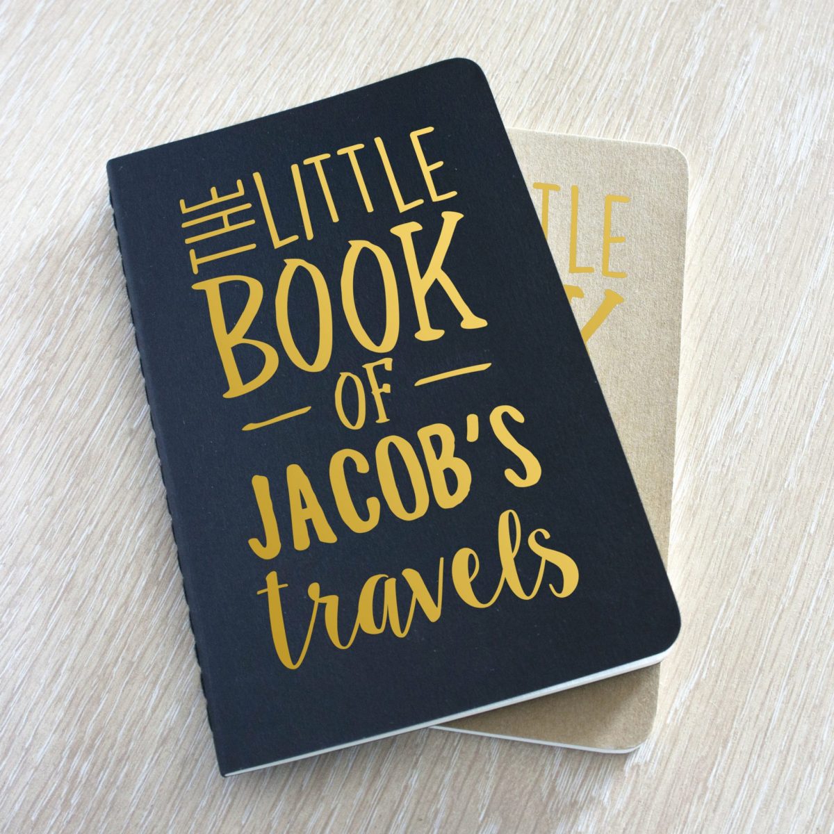 The Little Book of Travels Notebook